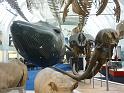 2011_12_London (104)